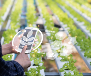 Israel Educational & Agricultural Technology Study Tour