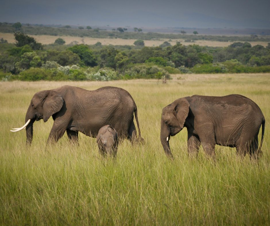 Kenya